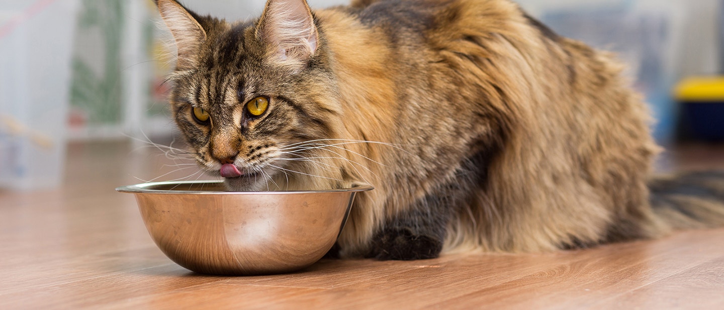 BENEFICIILE MÂNCĂRII UMEDE