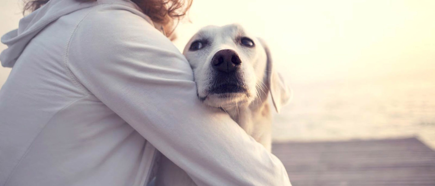 BENEFICIILE ÎMPĂRTĂȘIRII VIEȚII CU UN CÂINE