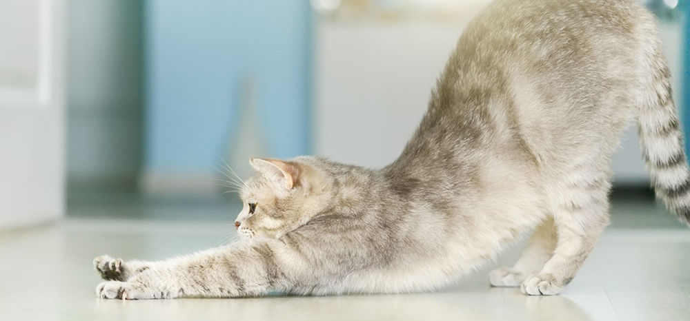 Perfect Fit™ brand imagery