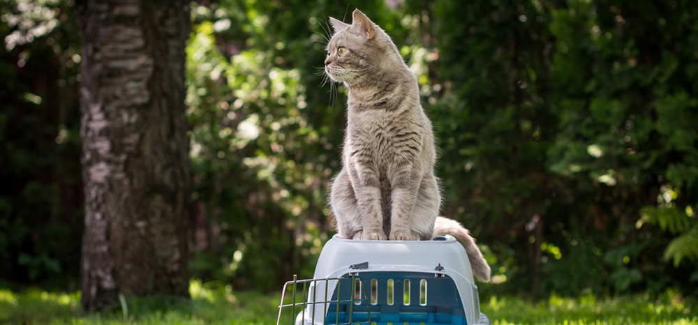 Perfect Fit™ brand imagery