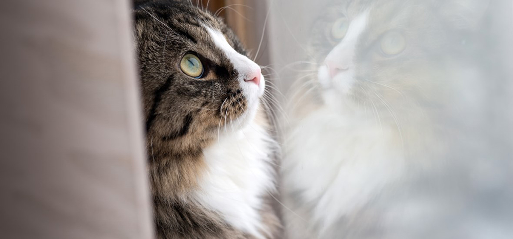 Perfect Fit™ brand imagery