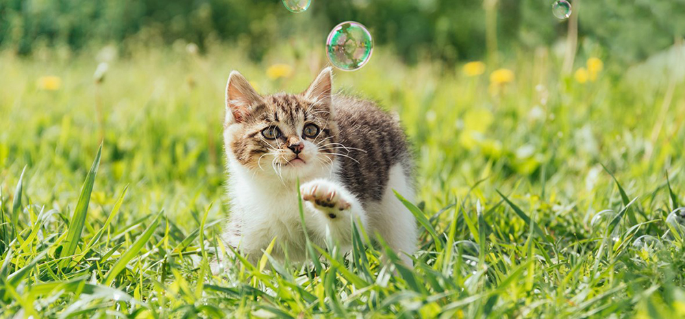 Perfect Fit™ brand imagery