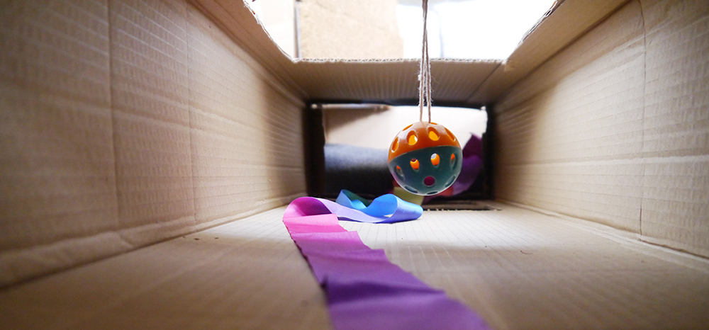 Perfect Fit™ brand imagery