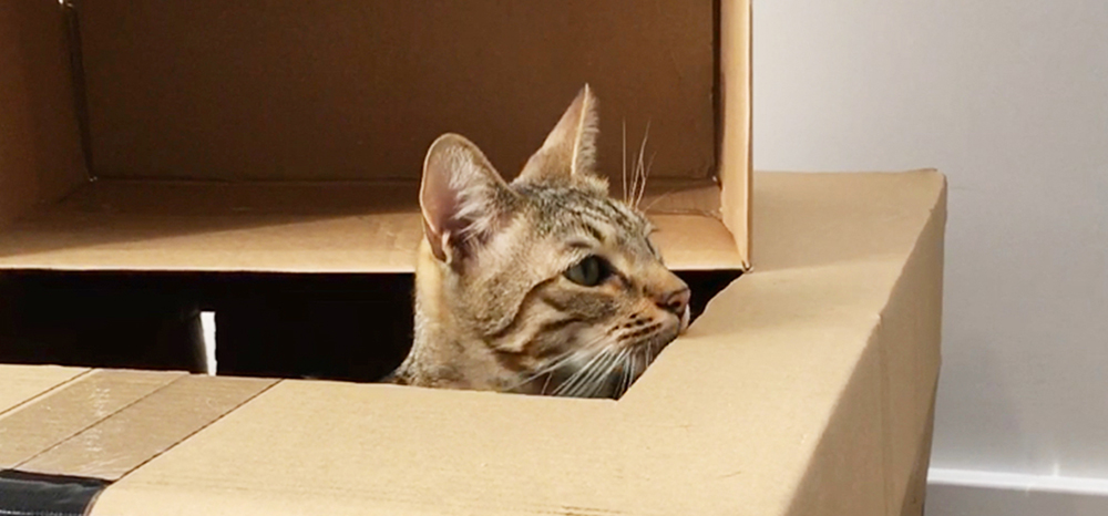 Perfect Fit™ brand imagery