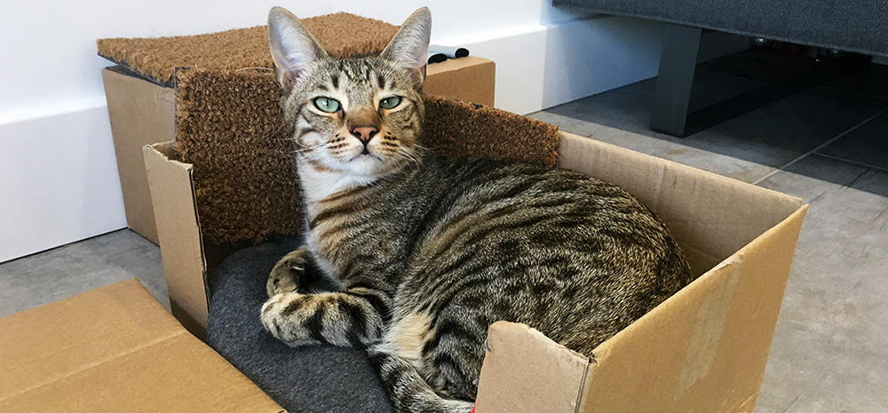 Perfect Fit™ brand imagery