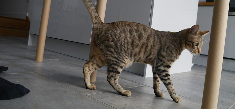 Perfect Fit™ brand imagery