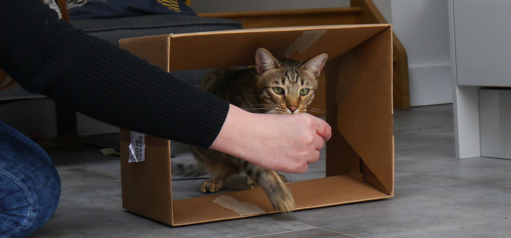 Perfect Fit™ brand imagery