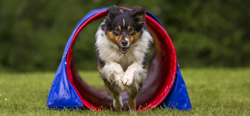 Perfect Fit™ brand imagery