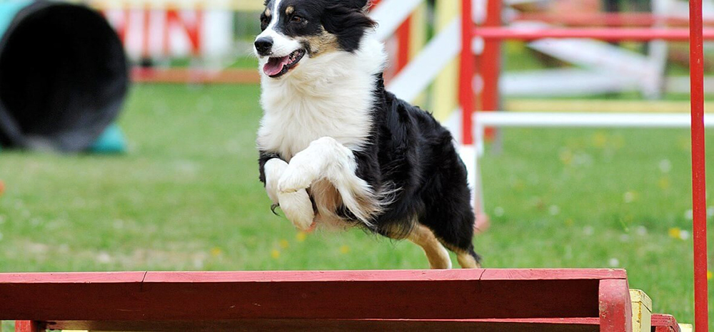 Perfect Fit™ brand imagery