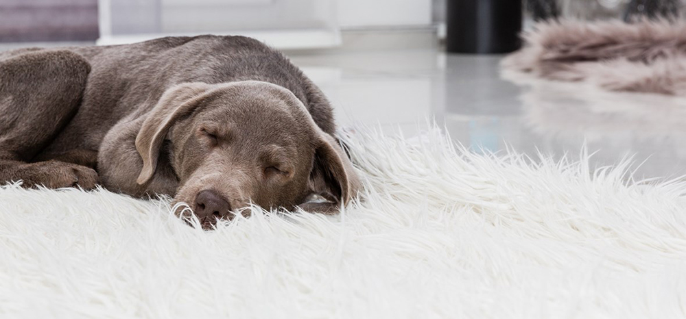 Perfect Fit™ brand imagery