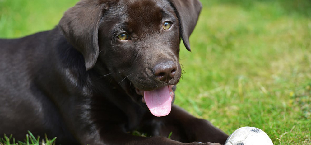 Perfect Fit™ brand imagery