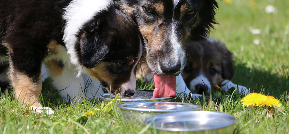 Perfect Fit™ brand imagery